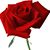 Miriam Andrade's profile image