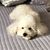 Martine Gauvin's profile image