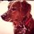 Mindy LeDuc's profile image