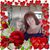 Brenda Hammitt-Abercrombie's profile image