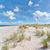 Kelly Giles Sigmon's profile image