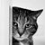 Cheryl Manbeck's profile image