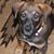 Pauline Scalco's profile image