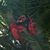 Diego Arviso's profile image