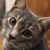 Matthew Lange's profile image