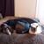 Susan Harp's profile image