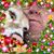 Douglas R Brewer's profile image