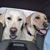 Heather M Stull-Anglin's profile image