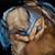 Jennifer Miller's profile image