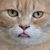 Tami Hallam's profile image
