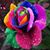Diane Henderson Fleming's profile image