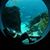 Cliff Christian's profile image