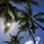 Sherie Kelly's profile image