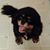 Michelle Allen Witkop's profile image