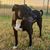 Tim Sherrill's profile image