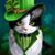 Rhonda Vandermark's profile image