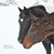 Linda Jensby's profile image