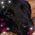 Cindy Packard's profile image
