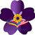Mike Aloyan's profile image
