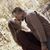 Mindy Smith Tate's profile image
