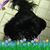 Chrissy Putnam's profile image
