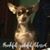 Barbara Helle's profile image