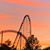 Sharon Huebner Petzke's profile image