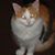Sandy Spahn Kunie's profile image