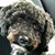 Karen Glaspey Hale's profile image
