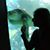Laura B. Licht's profile image