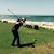 David Rioux's profile image