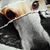 Sloane Clover Gunderson's profile image