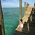 Mirela Angelova's profile image
