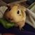 Tara Juarez's profile image