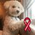 Gail Katz Brady's profile image