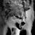 Bob Hobson's profile image