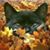 Kenneth Lynn Mahan's profile image