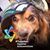 Charles Bryan Baron's profile image