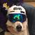 Tracy Pelach's profile image