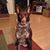 Rebecca Prentice's profile image