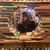Carina Cristiano's profile image