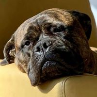 Penny Swope's profile image