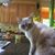 Sue Chamberlain's profile image