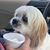 JoAnne Waggoner Shepler's profile image