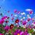 Nancy Jewell's profile image