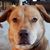 Sue Hoover's profile image