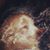 Susana Llamas's profile image