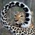 Gail Riffle's profile image
