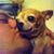 Robert Haselhuhn's profile image