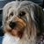 Ginah Monroy's profile image